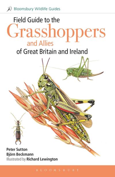 Field Guide to the Grasshoppers and Allies of Great Britain and Ireland