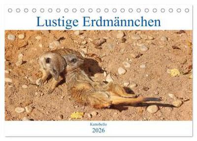 Lustige Erdmännchen (Tischkalender 2026 DIN A5 quer), CALVENDO Monatskalender