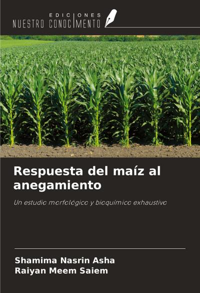 Respuesta del maíz al anegamiento