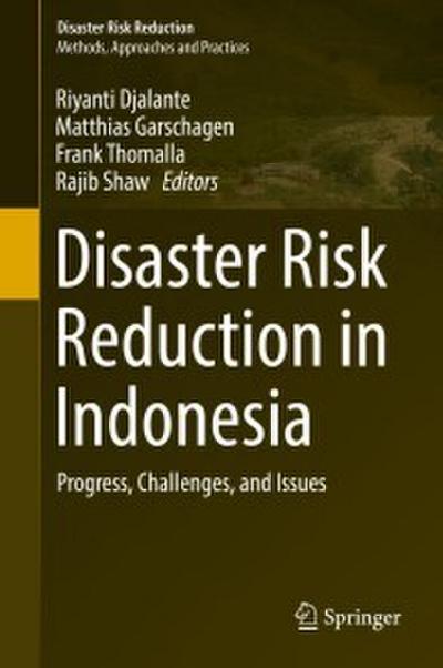 Disaster Risk Reduction in Indonesia