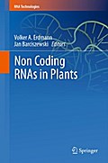 Non Coding RNAs in Plants