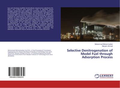 Selective Denitrogenation of Model Fuel through Adsorption Process