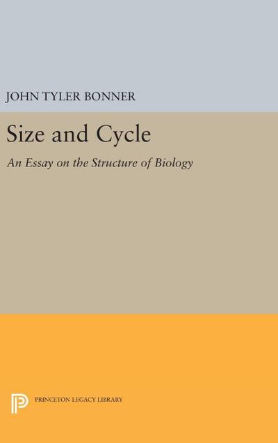 Size and Cycle