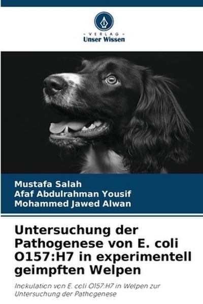 Untersuchung der Pathogenese von E. coli O157:H7 in experimentell geimpften Welpen