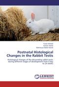 Postnatal Histological Changes in the Rabbit Testi