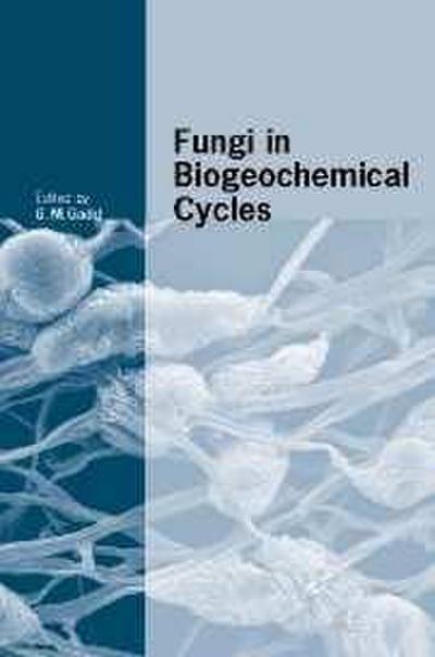Fungi in Biogeochemical Cycles