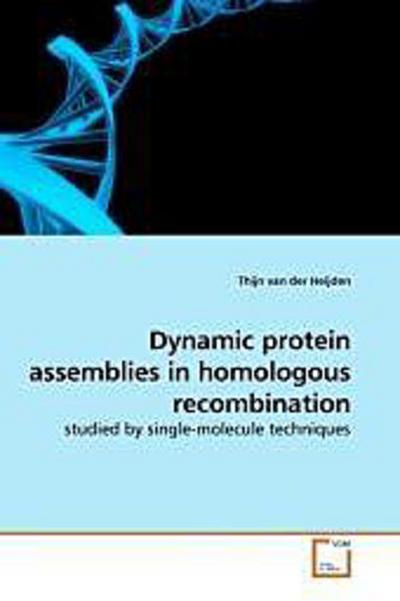 Dynamic protein assemblies in homologous recombination