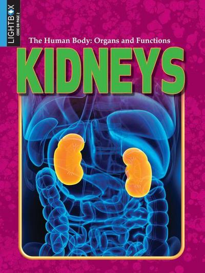 Kidneys