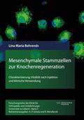 Mesenchymale Stammzellen zur Knochenregeneration
