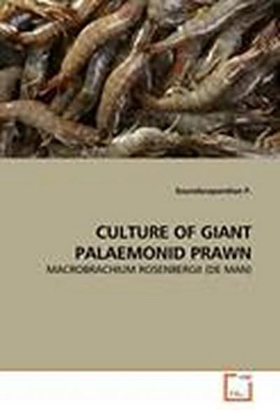 CULTURE OF GIANT PALAEMONID PRAWN