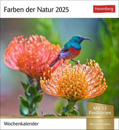 Farben der Natur Postkartenkalender 2025 - Wochenkalender mit 53 Postkarten