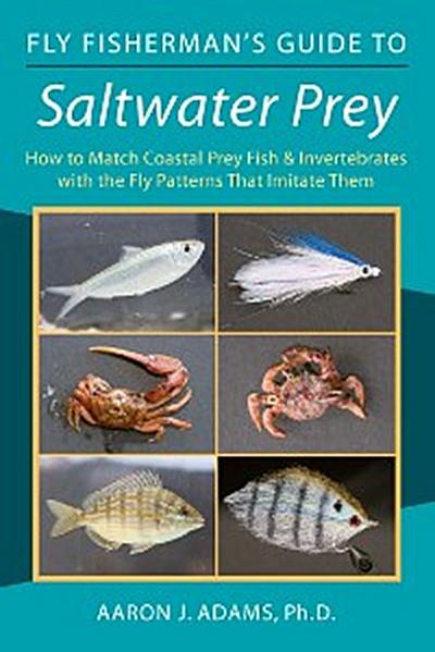 Fly Fisherman’s Guide to Saltwater Prey