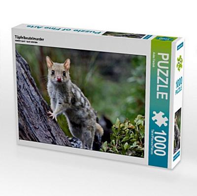Tüpfelbeutelmarder (Puzzle)