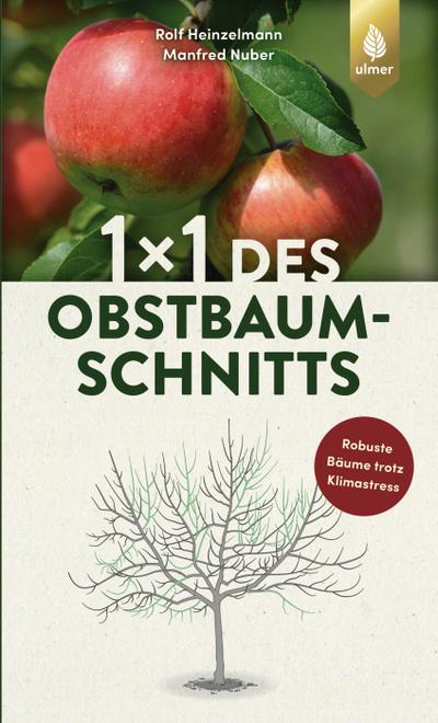 1 x 1 des Obstbaumschnitts