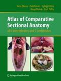 Atlas of Comparative Sectional Anatomy of 6 invert