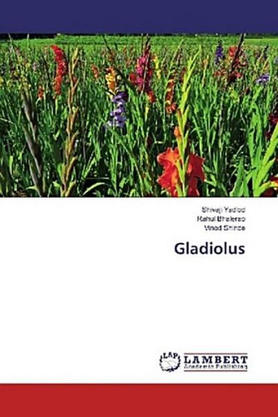 Gladiolus