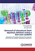 Removal of chromium from aqueous solution using a 
