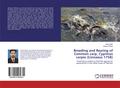 Breeding and Rearing of Common carp, Cyprinus carpio (Linnaeus 1758)