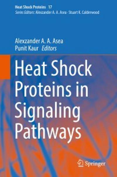 Heat Shock Proteins in Signaling Pathways
