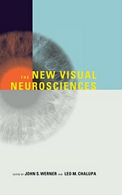 New Visual Neurosciences