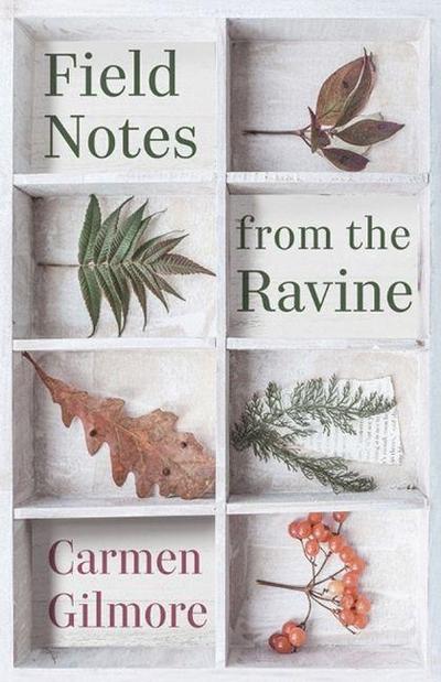 Field Notes from the Ravine