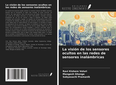 La visión de los sensores ocultos en las redes de sensores inalámbricas