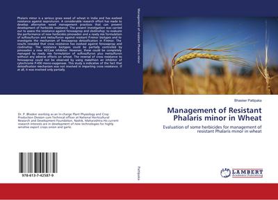 Management of Resistant Phalaris minor in Wheat