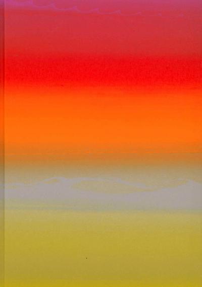 Raphael Hefti: Salutary Failures. Ediz. inglese e tedesca