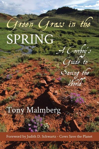 Green Grass in the Spring