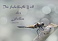 Die fabelhafte Welt der Libellen (Tischaufsteller 