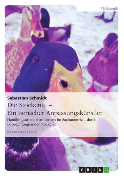 Die Stockente ¿ ein tierischer Anpassungskünstler - Sebastian Schmidt