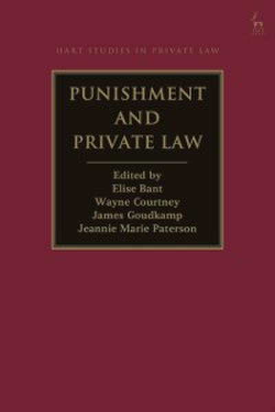 Punishment and Private Law