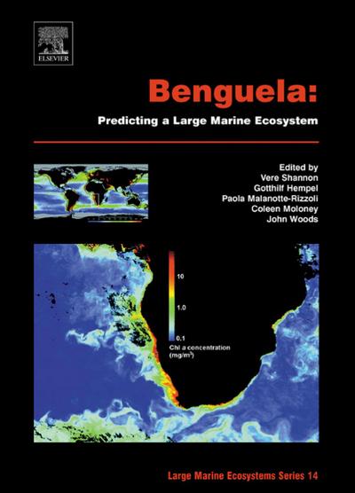 Benguela: Predicting a Large Marine Ecosystem