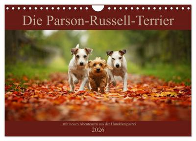 Die Parson-Russell-Terrier ...mit neuen Abenteuern aus der Hundeknipserei (Wandkalender 2026 DIN A4 quer), CALVENDO Monatskalender
