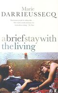 A Brief Stay with the Living