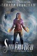 Silverwitch (Fairy World MD, #4)