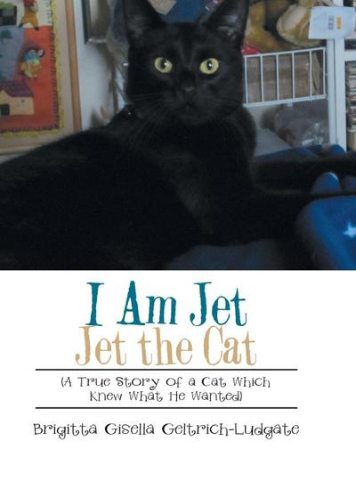I Am Jet Jet the Cat