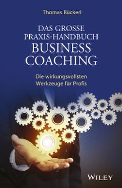 Das große Praxis-Handbuch Business Coaching: Die wirkungsvollsten Werkzeuge für Profis