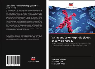 Variations cytomorphologiques chez Vicia faba L.