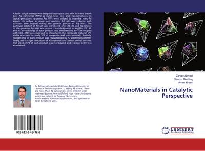 NanoMaterials in Catalytic Perspective