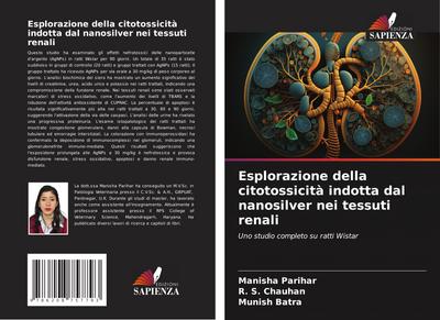 Esplorazione della citotossicità indotta dal nanosilver nei tessuti renali