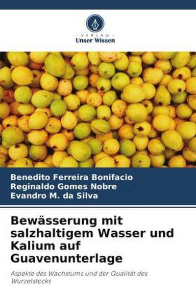 Bewässerung mit salzhaltigem Wasser und Kalium auf Guavenunterlage