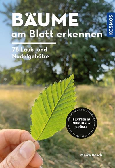 Bäume am Blatt erkennen - 78 Laub- und Nadelgehölze. Blätter in Originalgröße