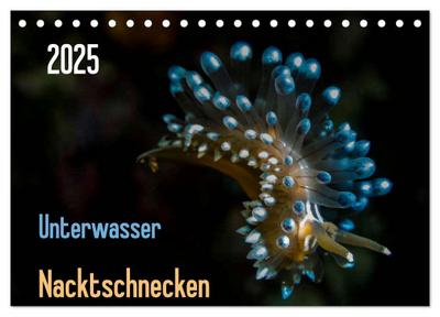 Unterwasser - Nacktschnecken 2025 (Tischkalender 2025 DIN A5 quer), CALVENDO Monatskalender