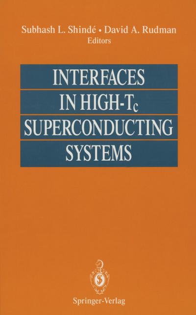 Interfaces in High-Tc Superconducting Systems