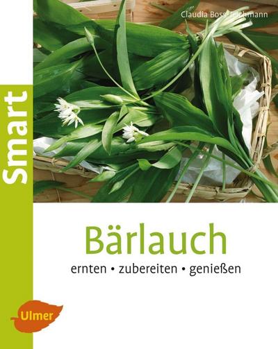 Bärlauch 