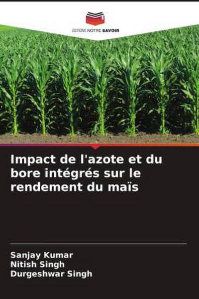 Impact de l’azote et du bore intégrés sur le rendement du maïs