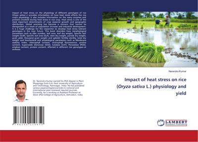 Impact of heat stress on rice (Oryza sativa L.) physiology and yield