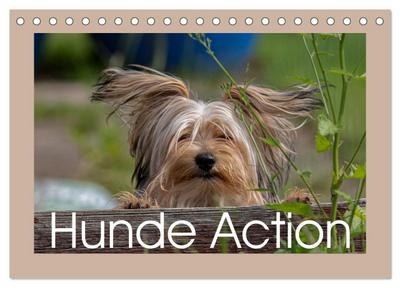 Hunde Action (Tischkalender 2025 DIN A5 quer), CALVENDO Monatskalender