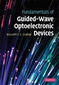 Fundamentals of Guided-Wave Optoelectronic Devices